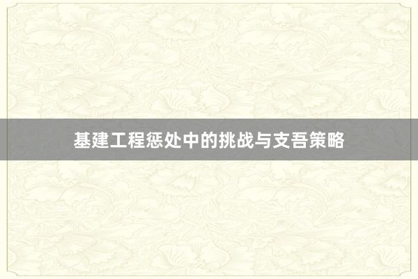 基建工程惩处中的挑战与支吾策略